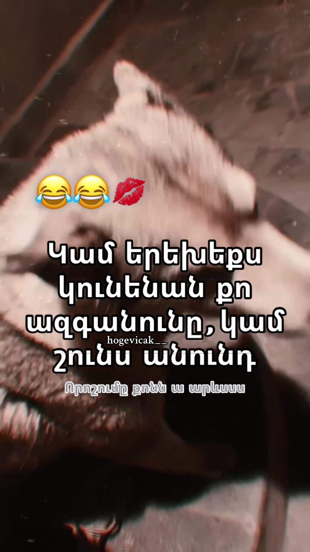 @hogevicak___