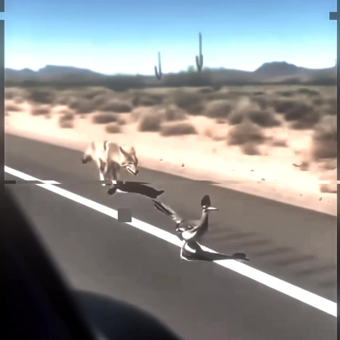 @𝐊𝐚𝐢𝐣𝐮
