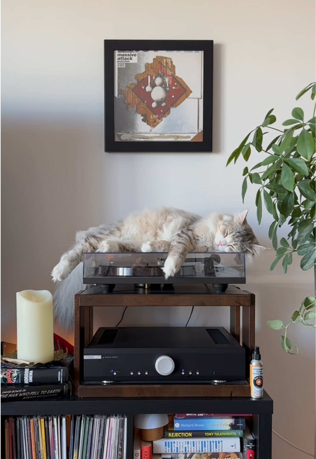 @Leon The Vinyl Cat