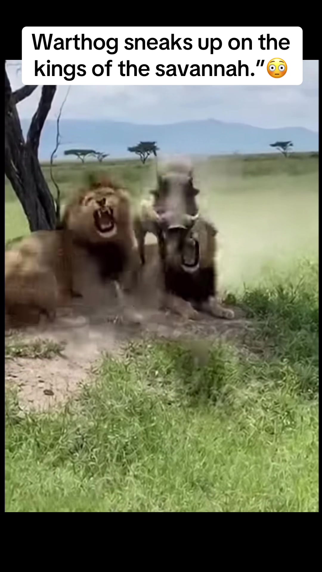 @Nature.best