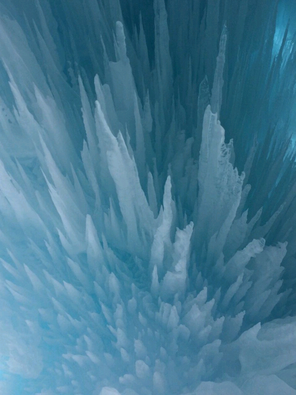 @! 𝙜𝙪𝙢𝙗𝙖𝙡𝙡 ๑͡  🙀 , 한