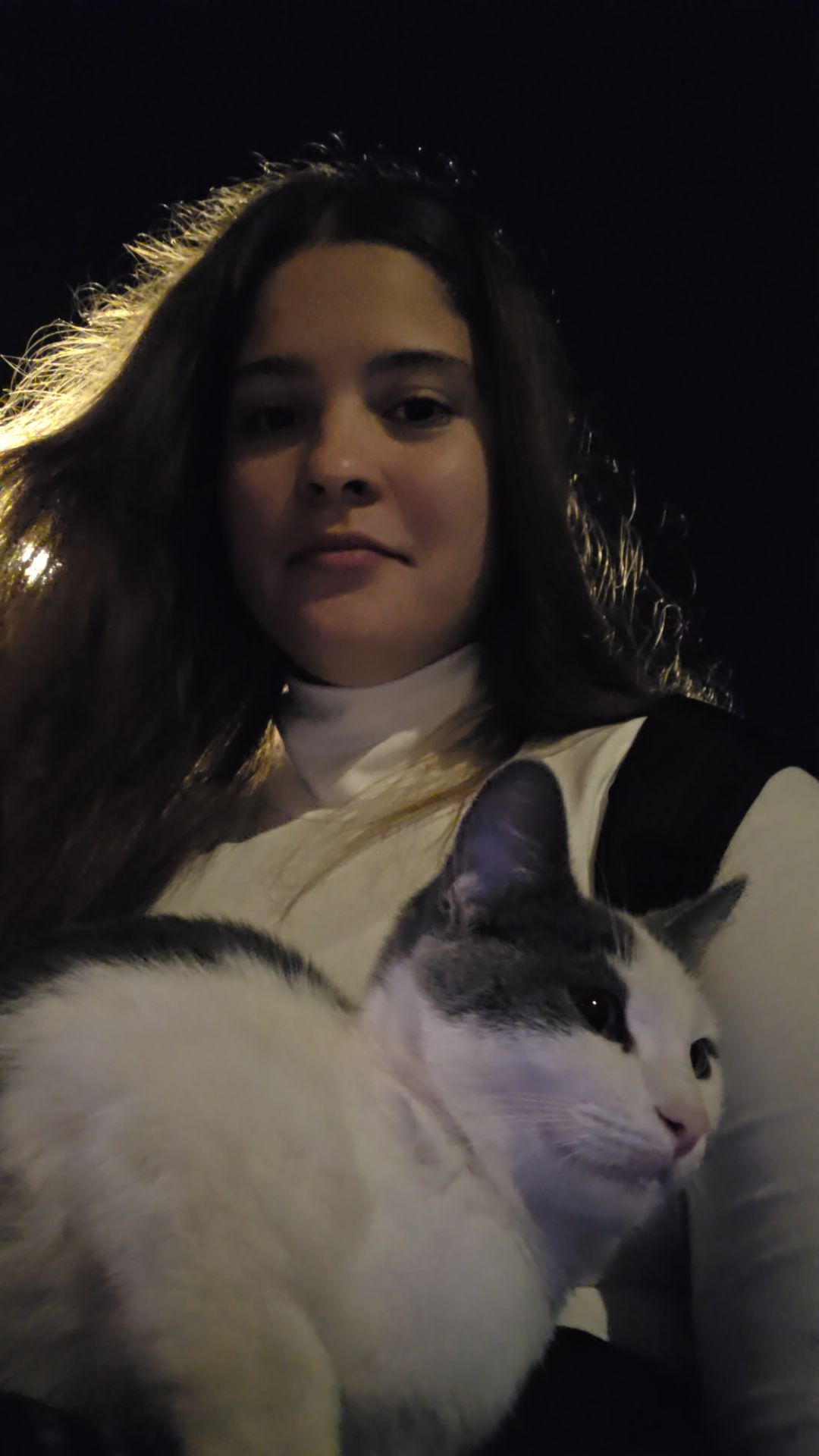 @vika cat