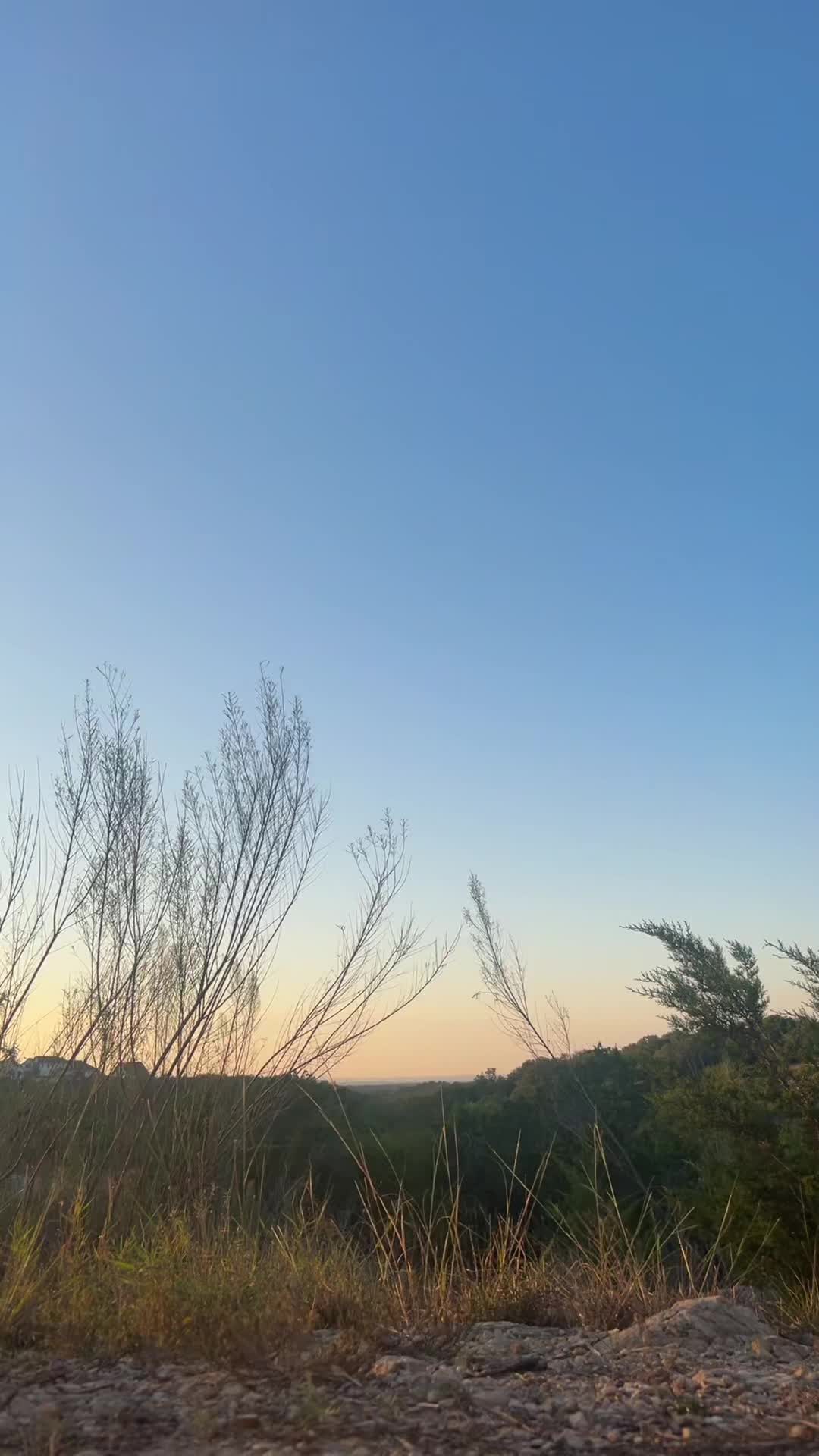 @Mr_sad<3
