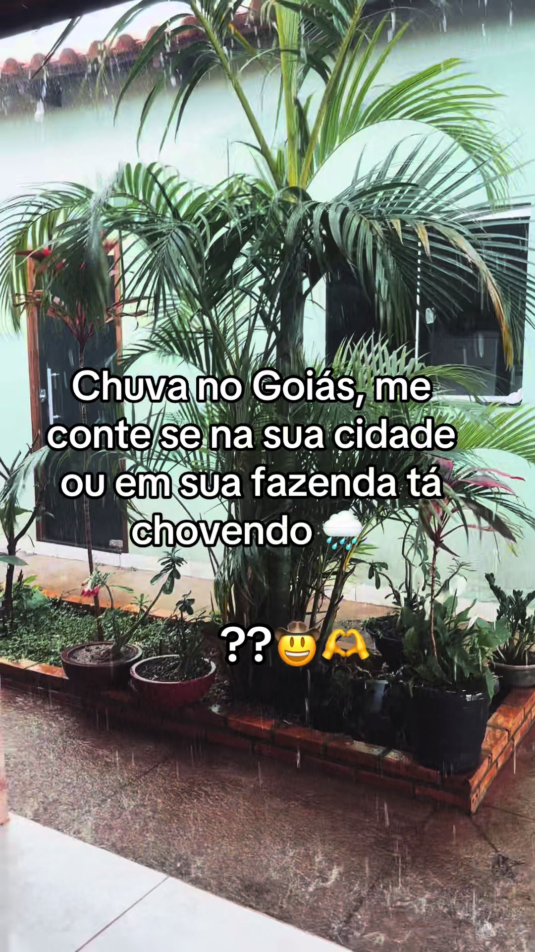 @gesyaparecida74