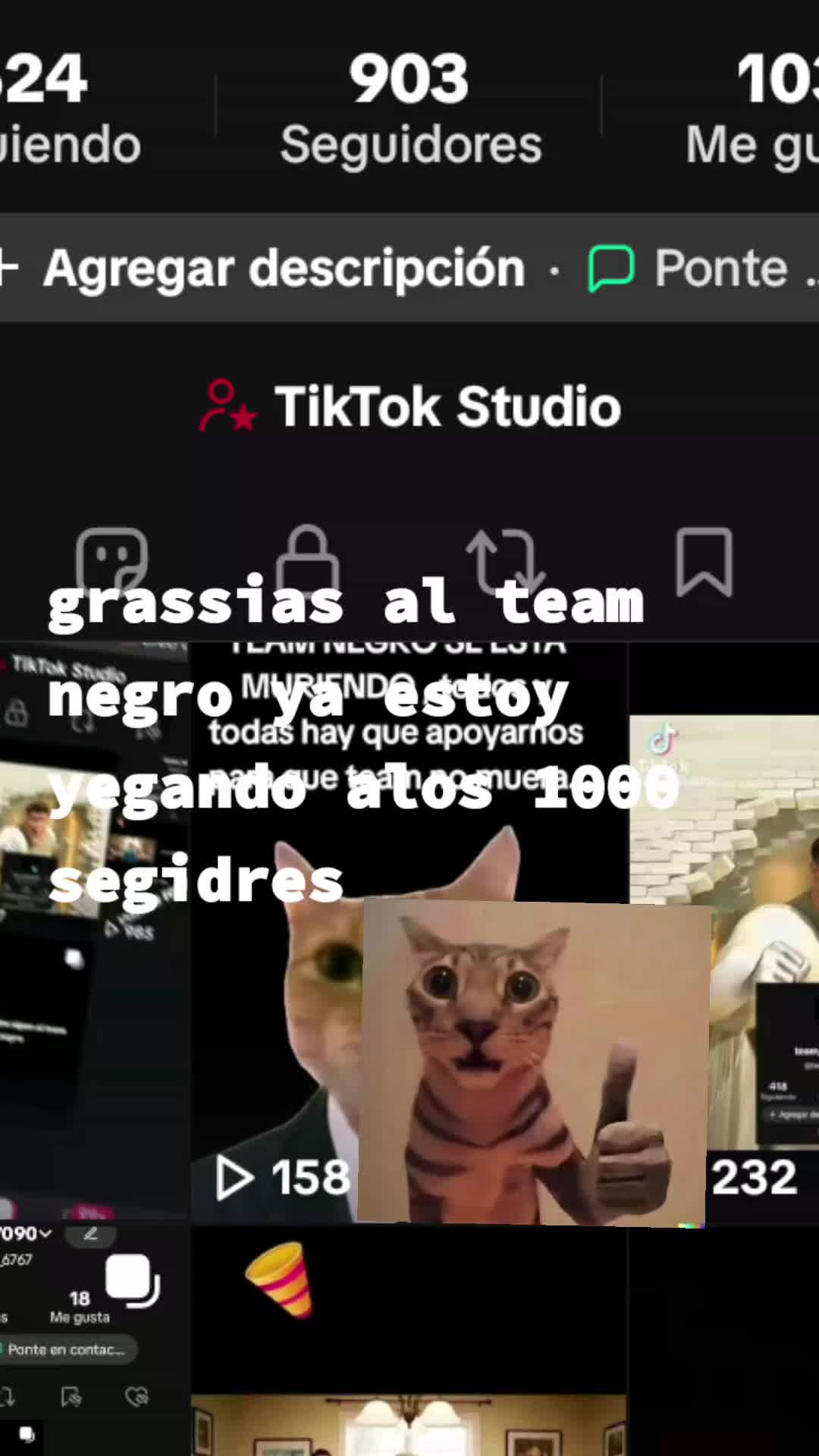 @team_negro7090