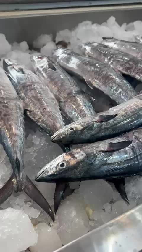 @مطعم القوز للأسماك.الدرب🧿