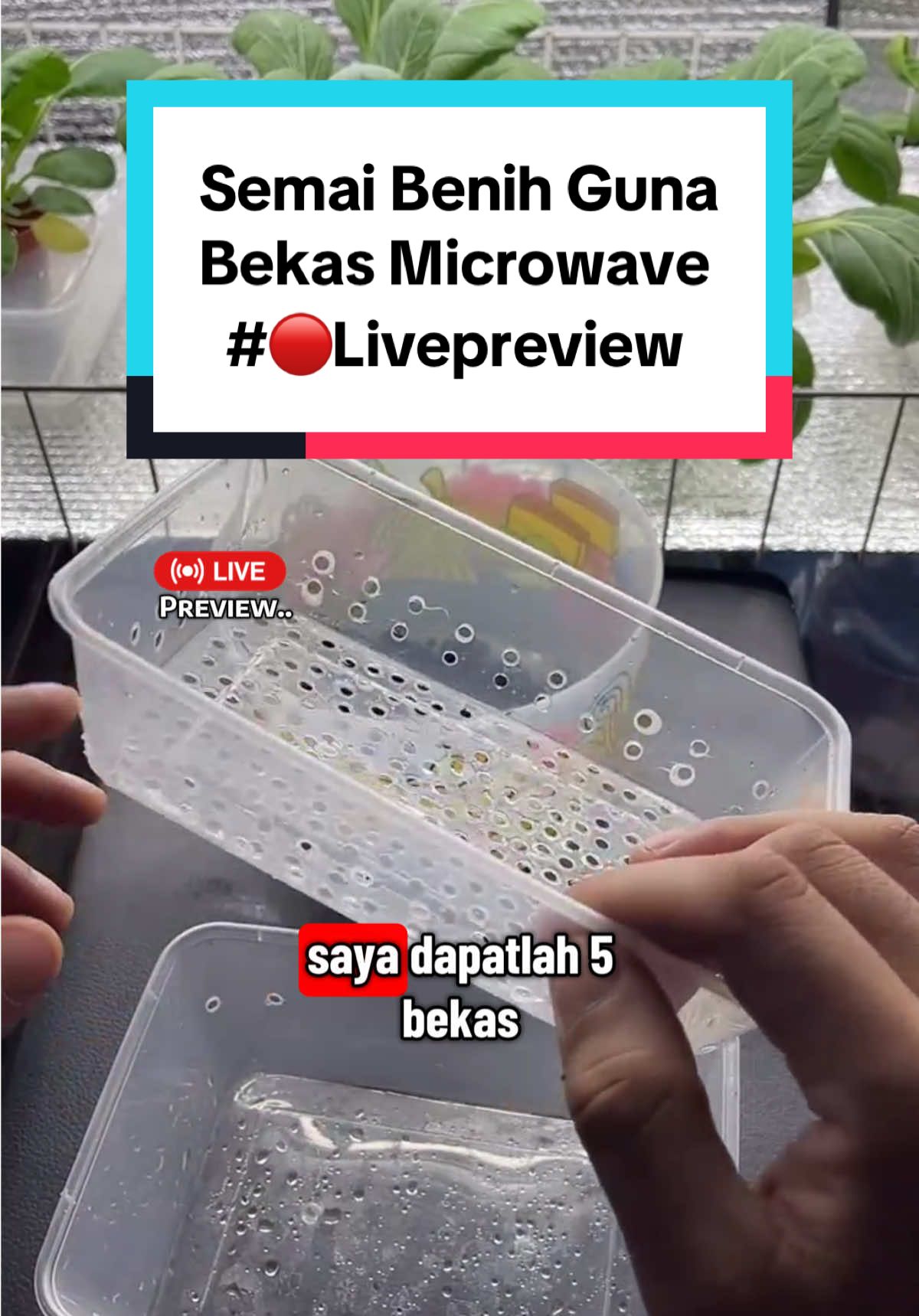 @Izat Aizie
