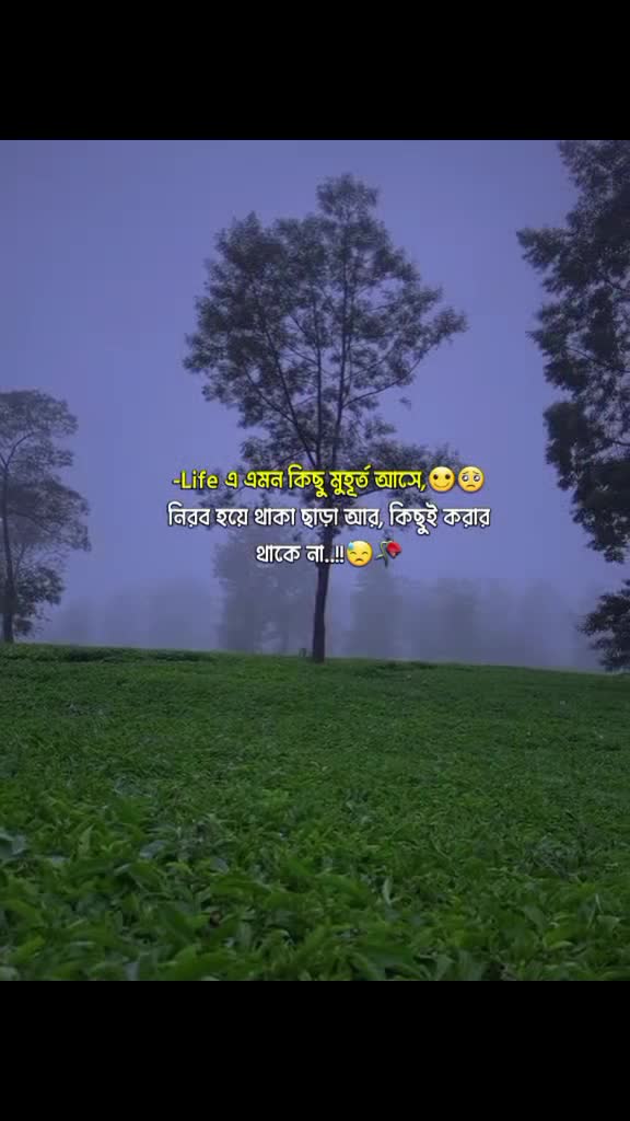 @🇸🇦 সৌদি প্রবাসী বউ🧕🧕