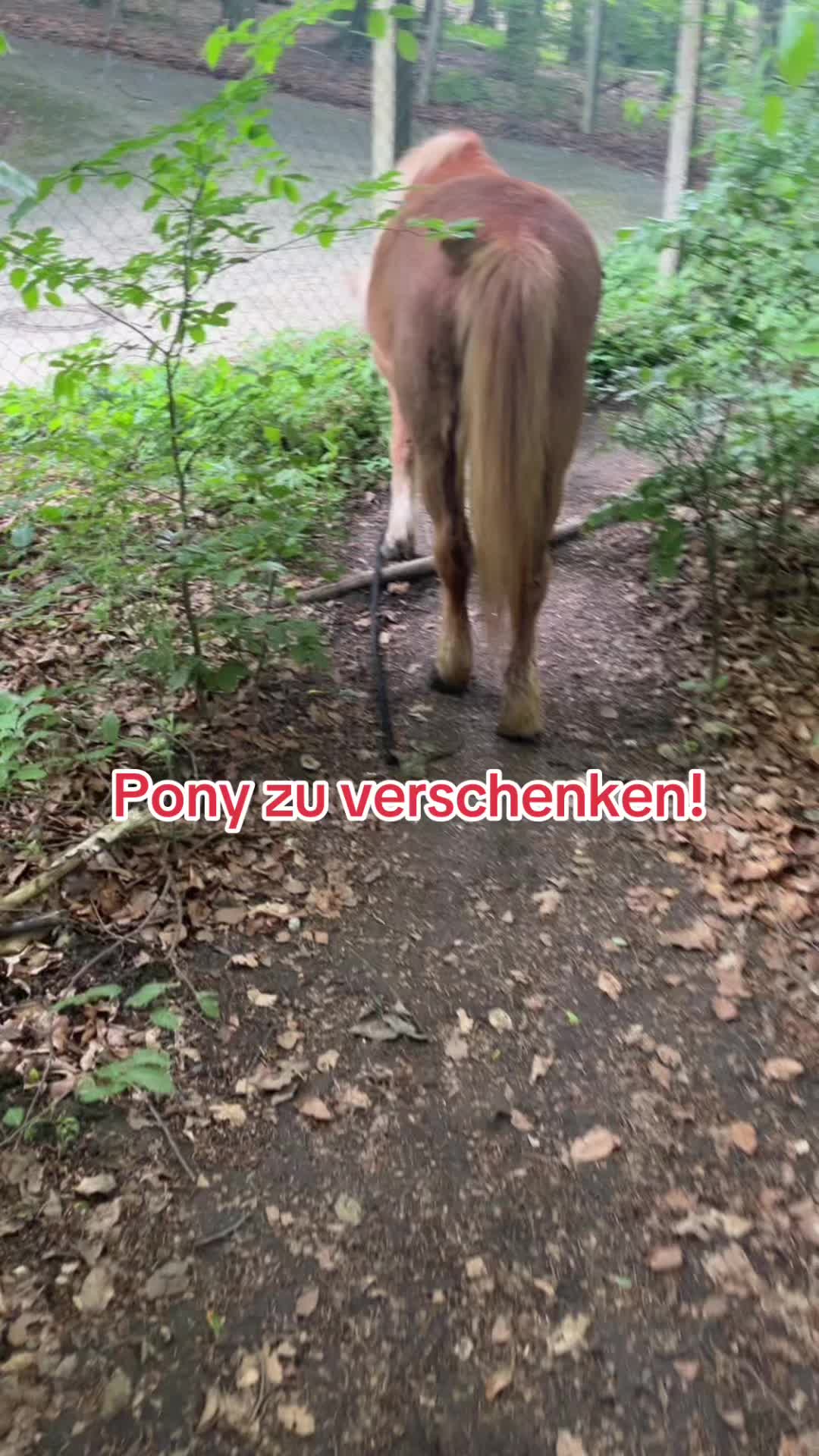 @carinaslifevlog
