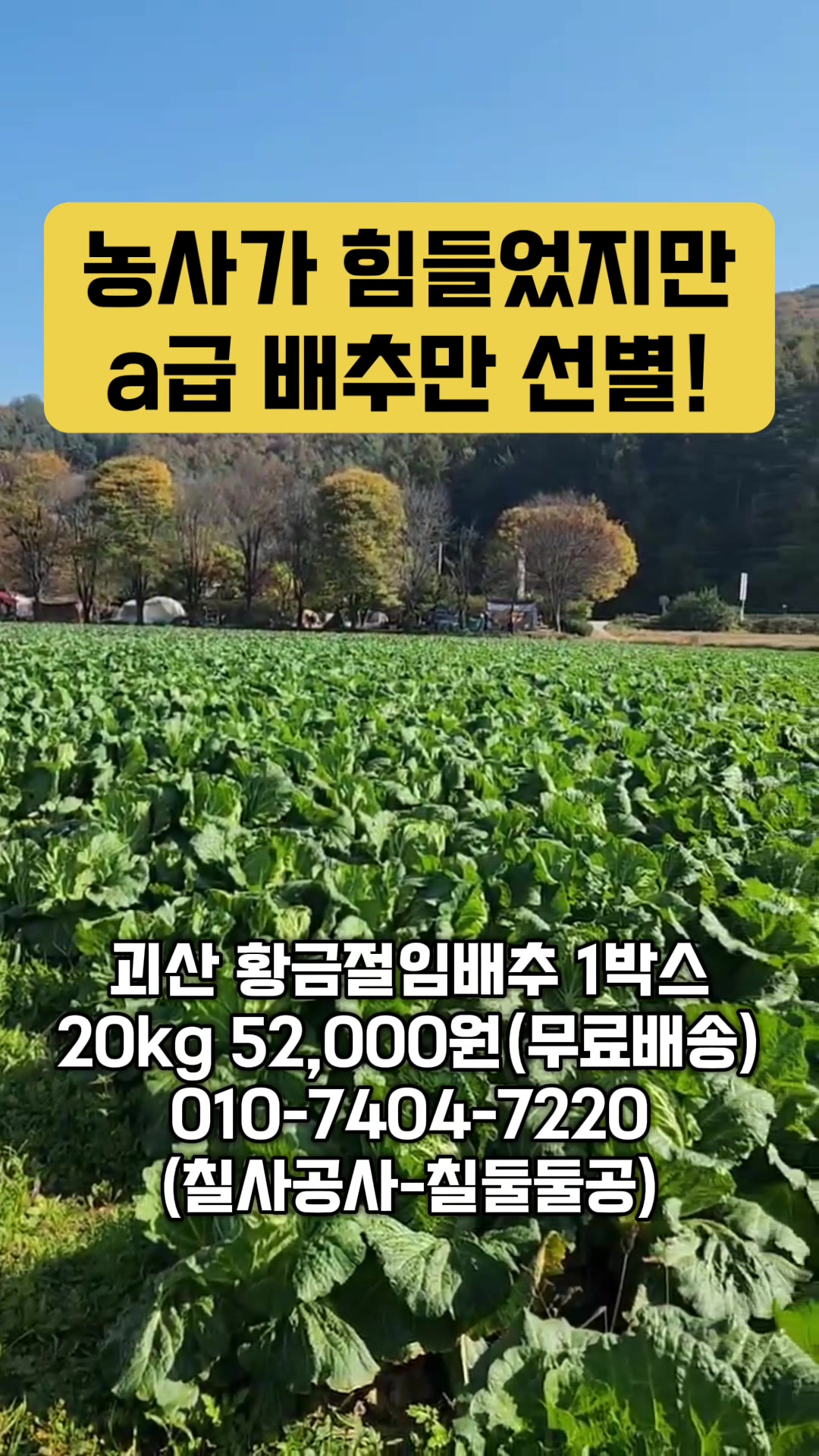 @한입의행복