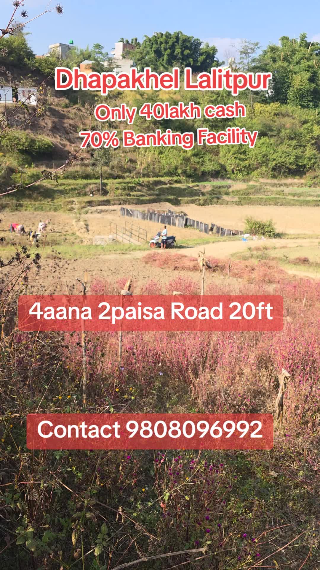 @D&D Realestate Nepal
