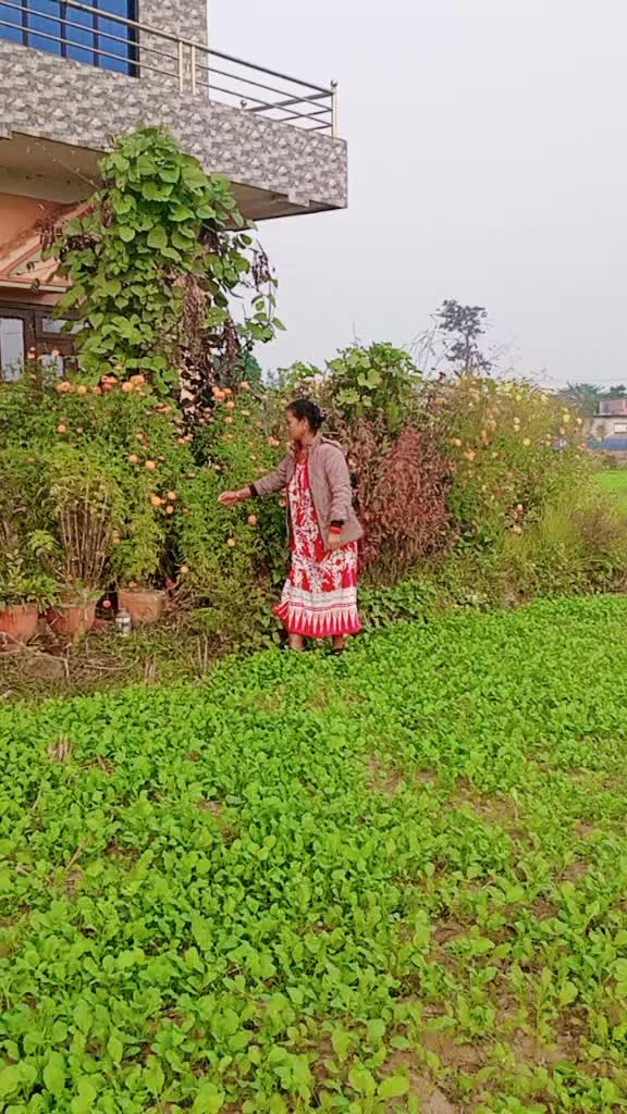 @Shruti_Kunwar