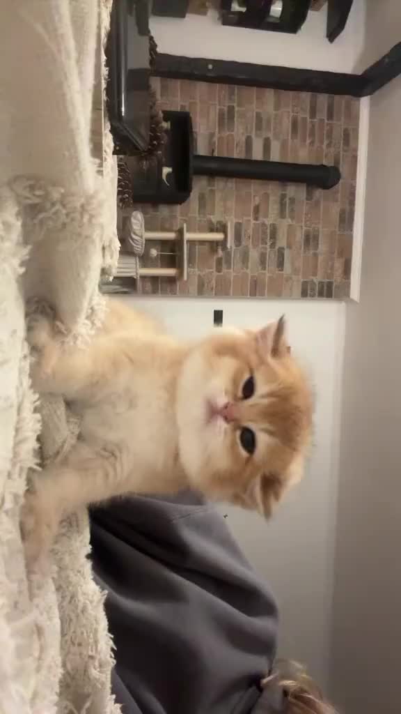 @AAAAA