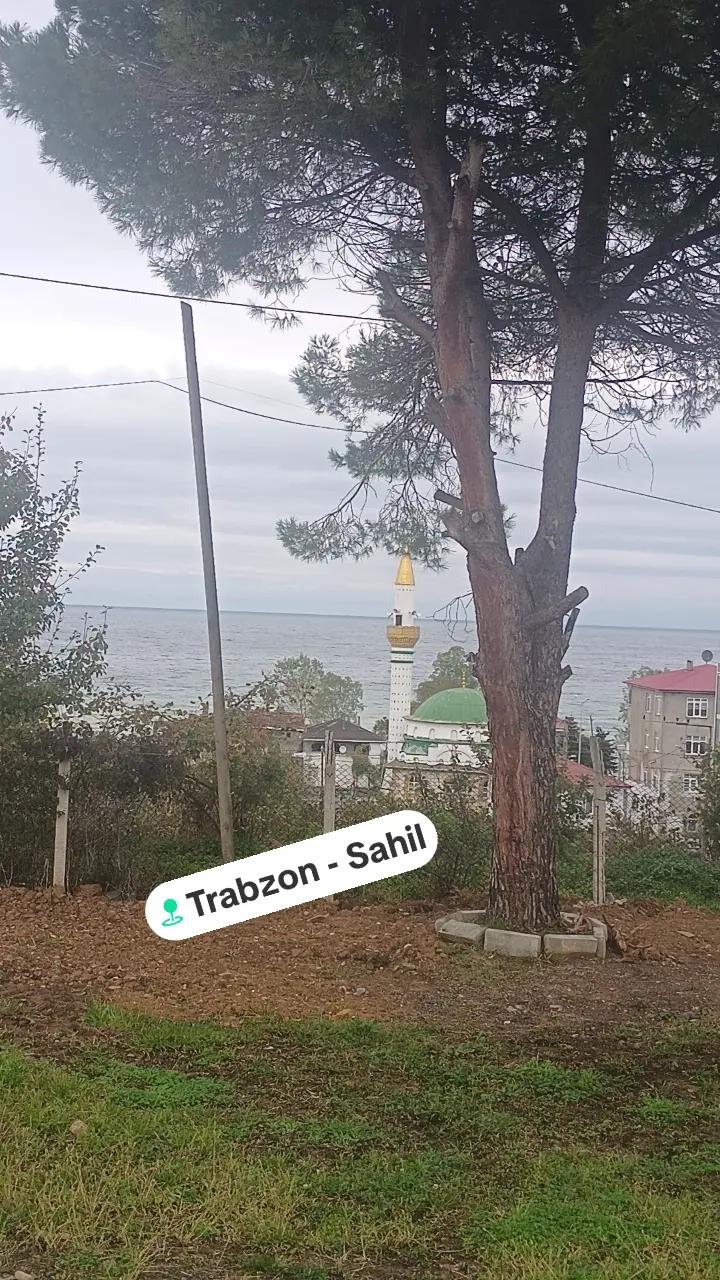 @Tırcı Çerkes 54