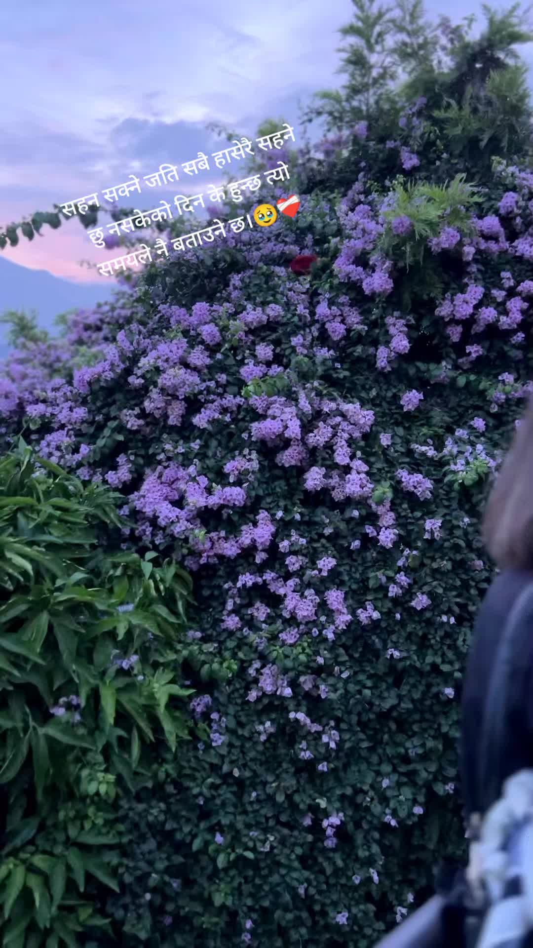 @🤍
