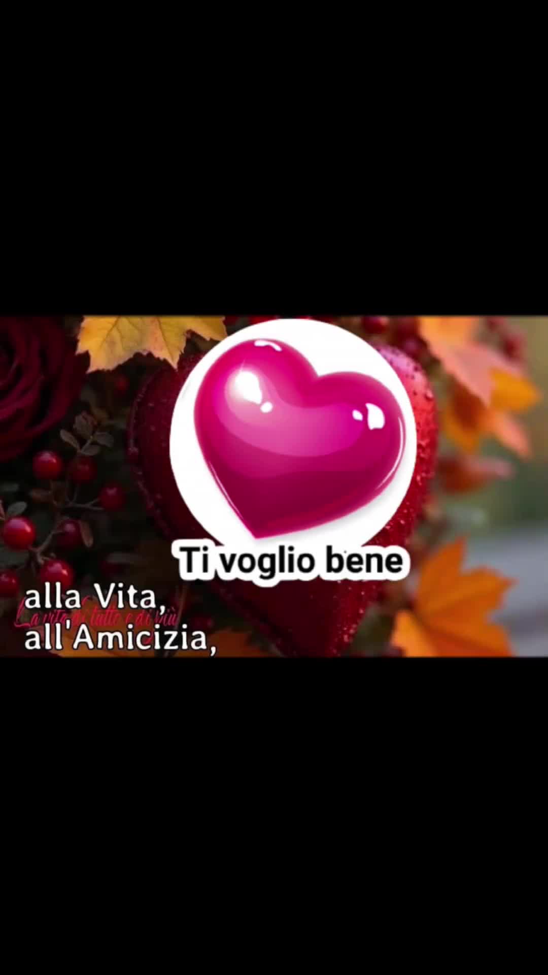 @Clelia Di Caprio