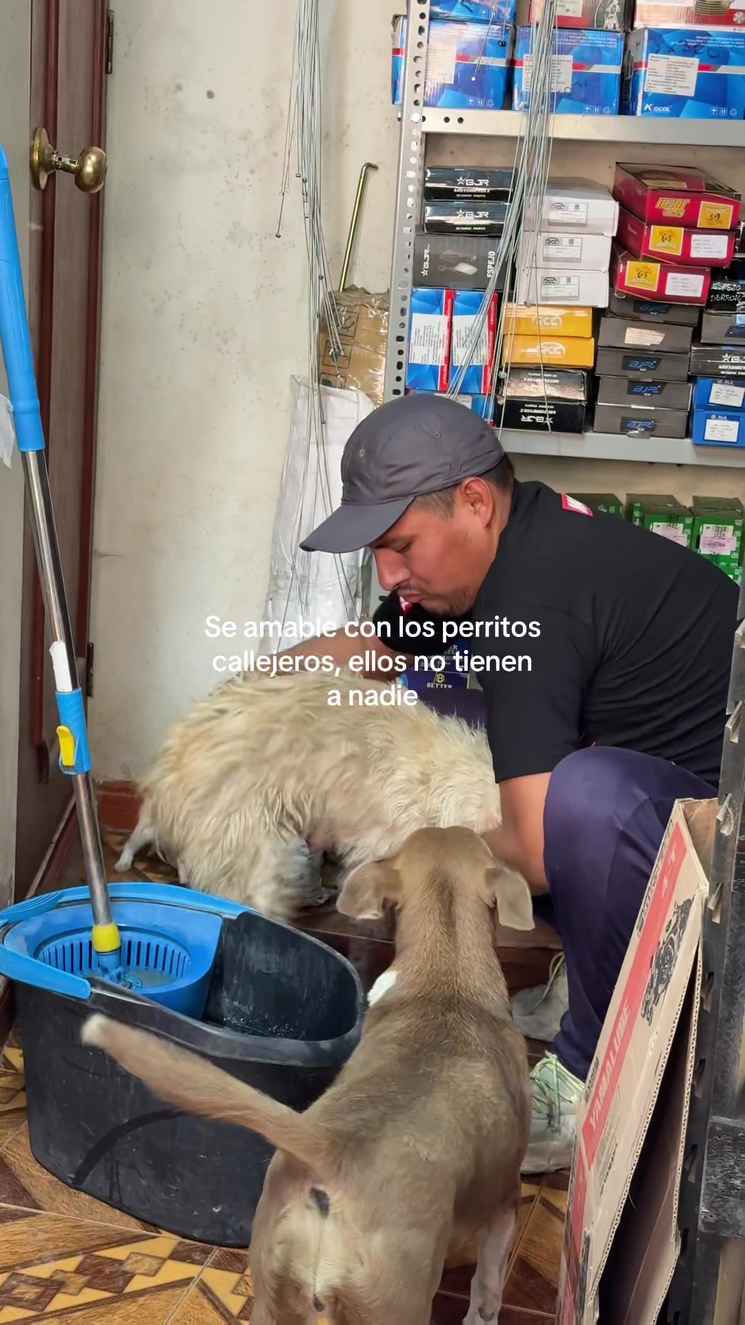 @Cabezotas 🐶
