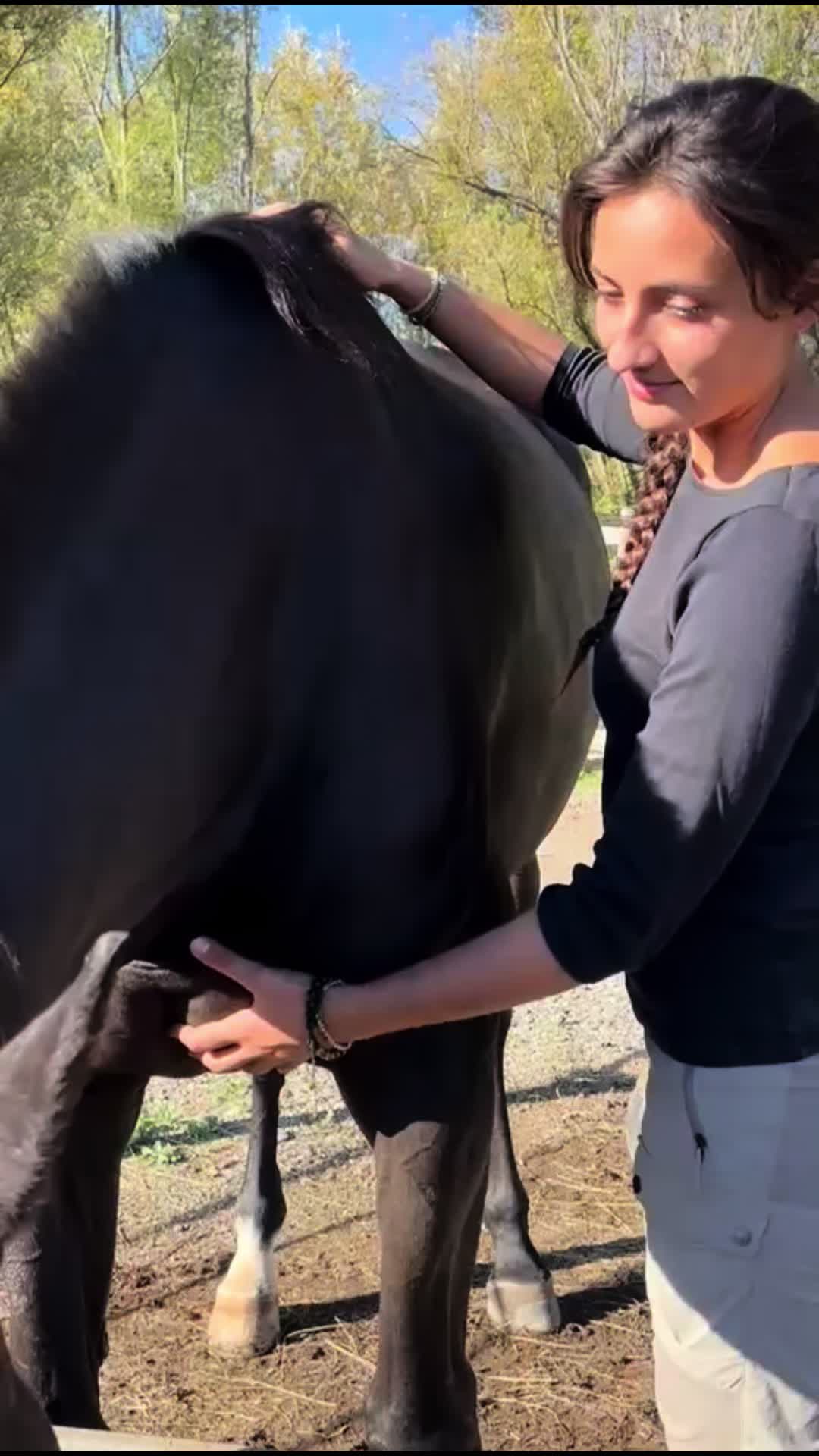 @Hannah&ensp;ost&eacute;opathie&ensp;animale&ensp;🐎