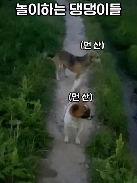 @개블리