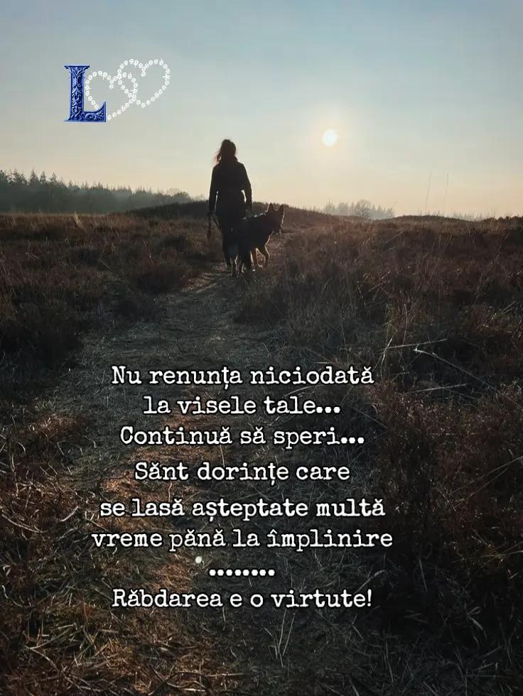 @❤Lupulmeuadorabil❤