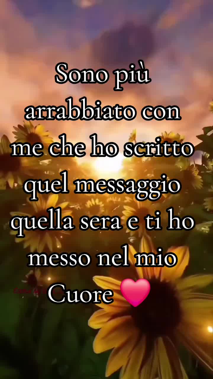 @Aldo Fusco orso 🧸