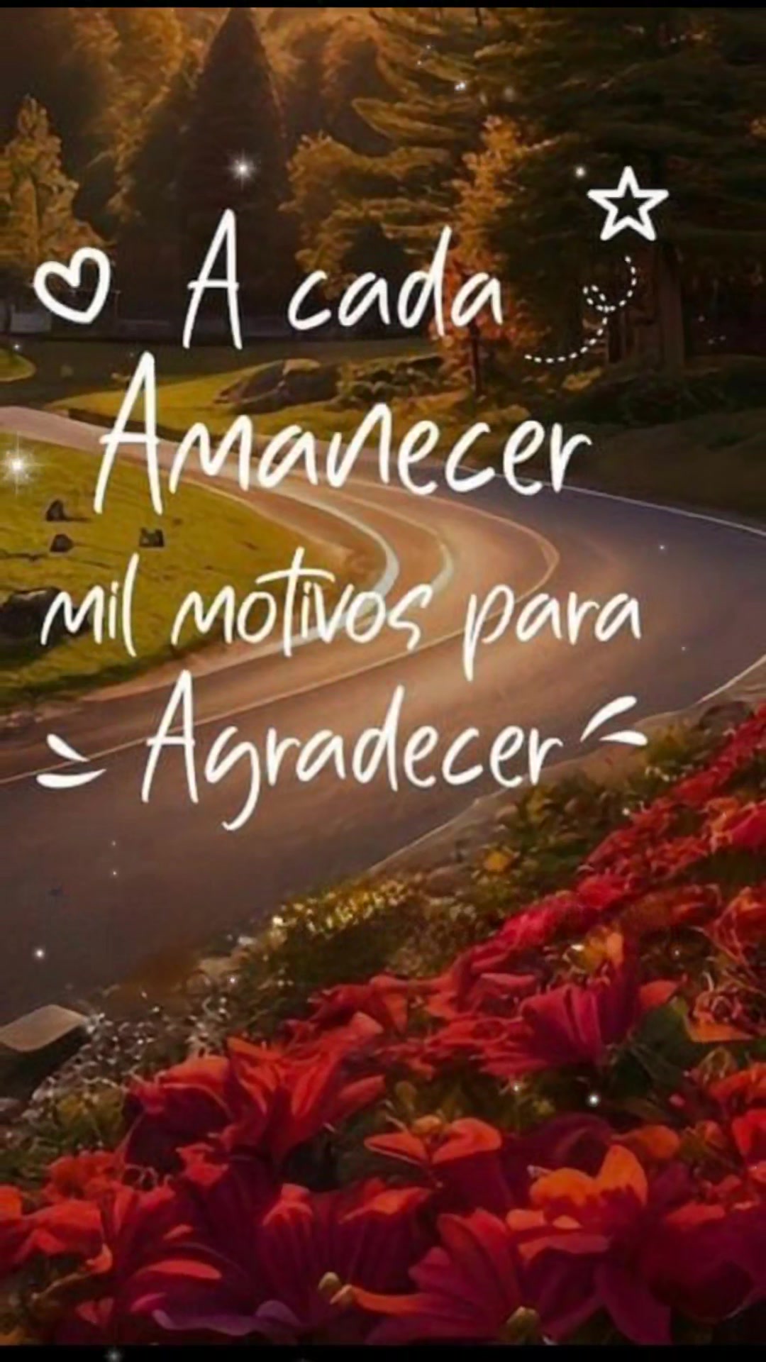 @Mayra Duarte