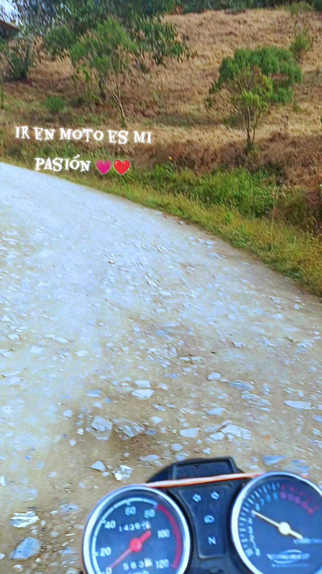 @❤️ Estrella ❤️