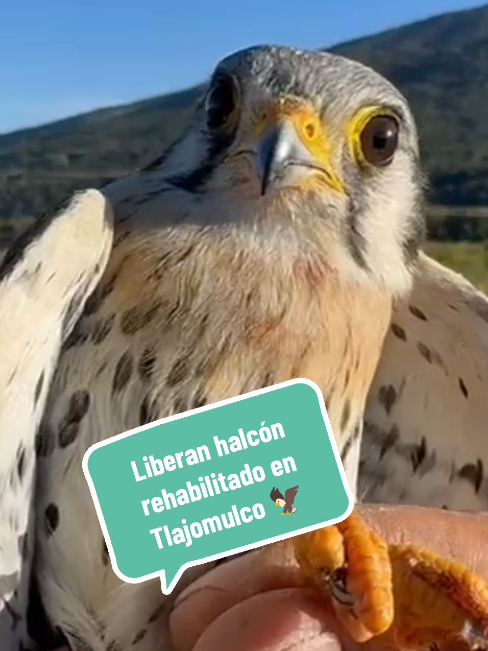 @RodrigoRivasU