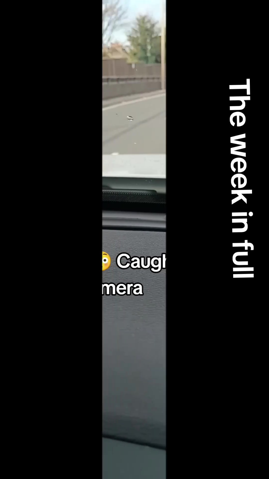 @hiiibee