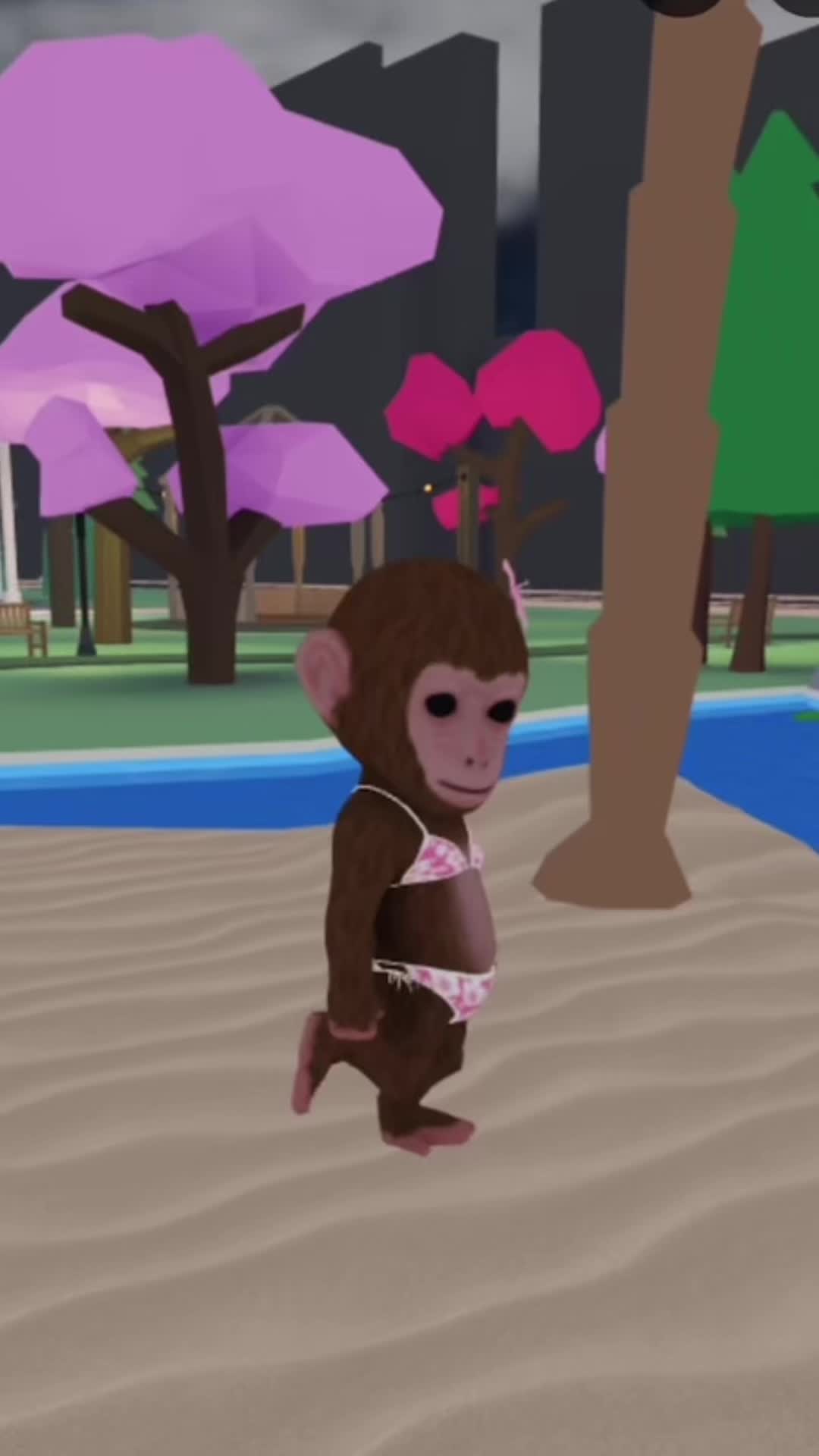 @MonkeyTok