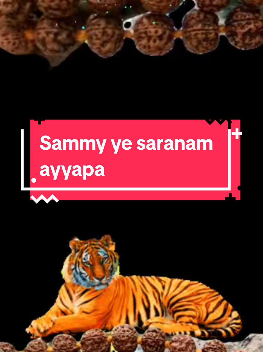 @ST2025gurz