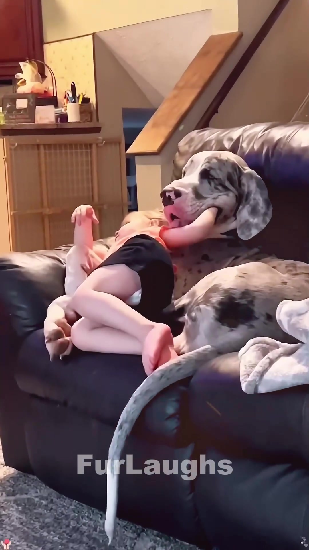 @furlaughs03