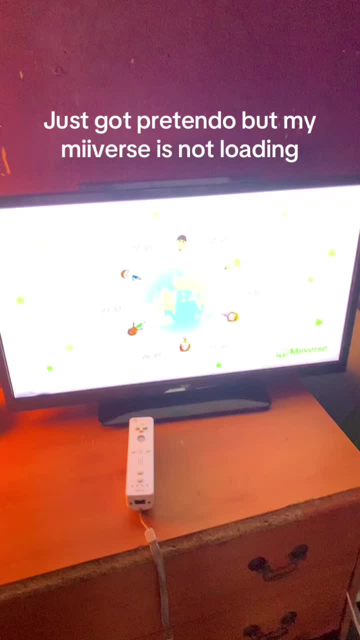 @thewiidudee