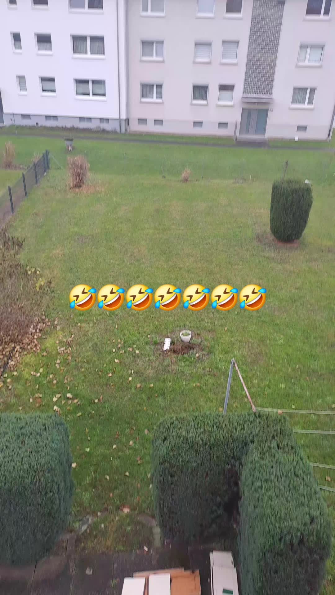 @Opa egon