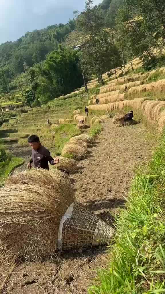 @फिरन्ते 🔎💐🤗