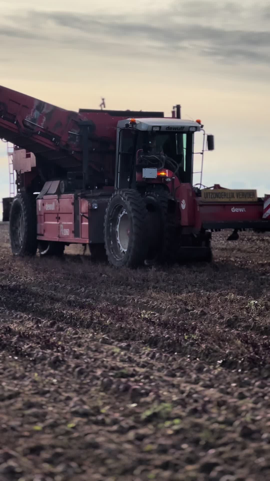 @Ćwikła agro