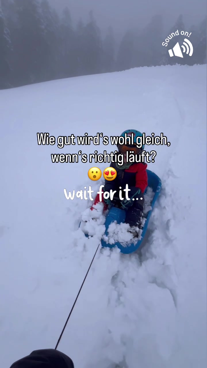 @retofoxfehr
