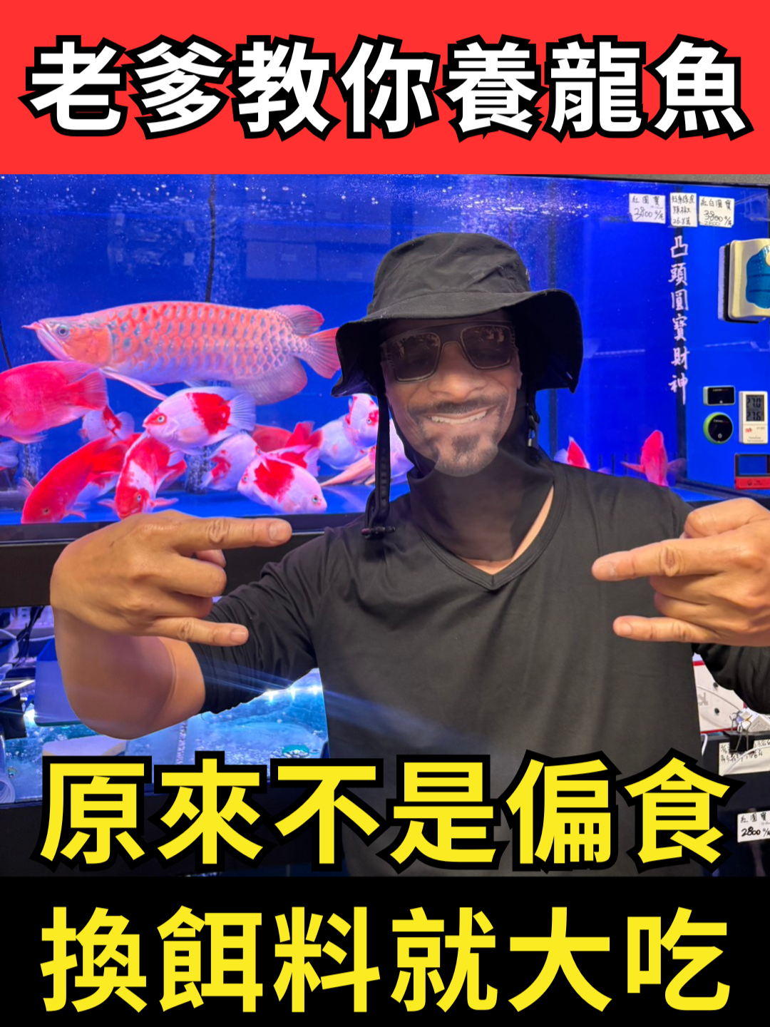 @招財魚水族精品