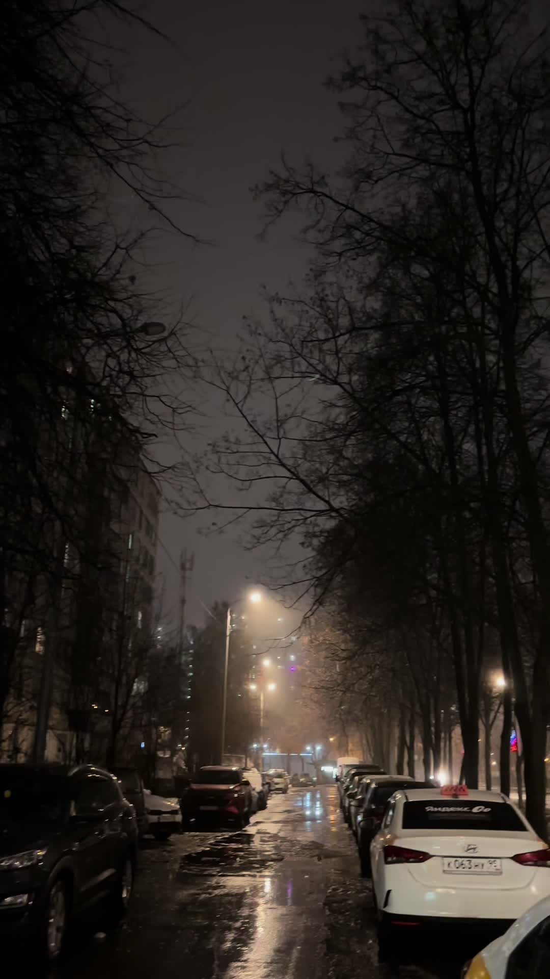 @graz_m13