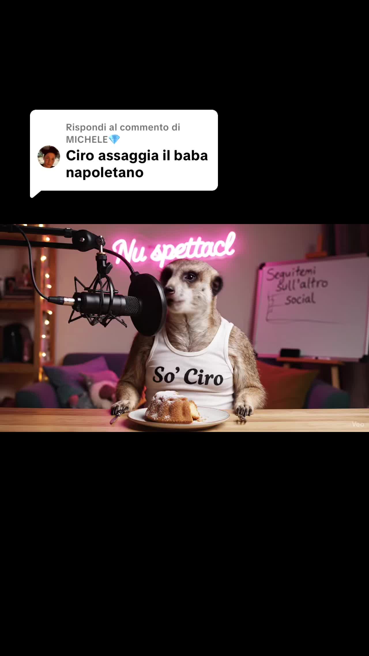 @Ciro il suricato