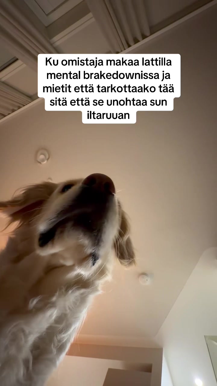 @PinkoNainen🕶💋