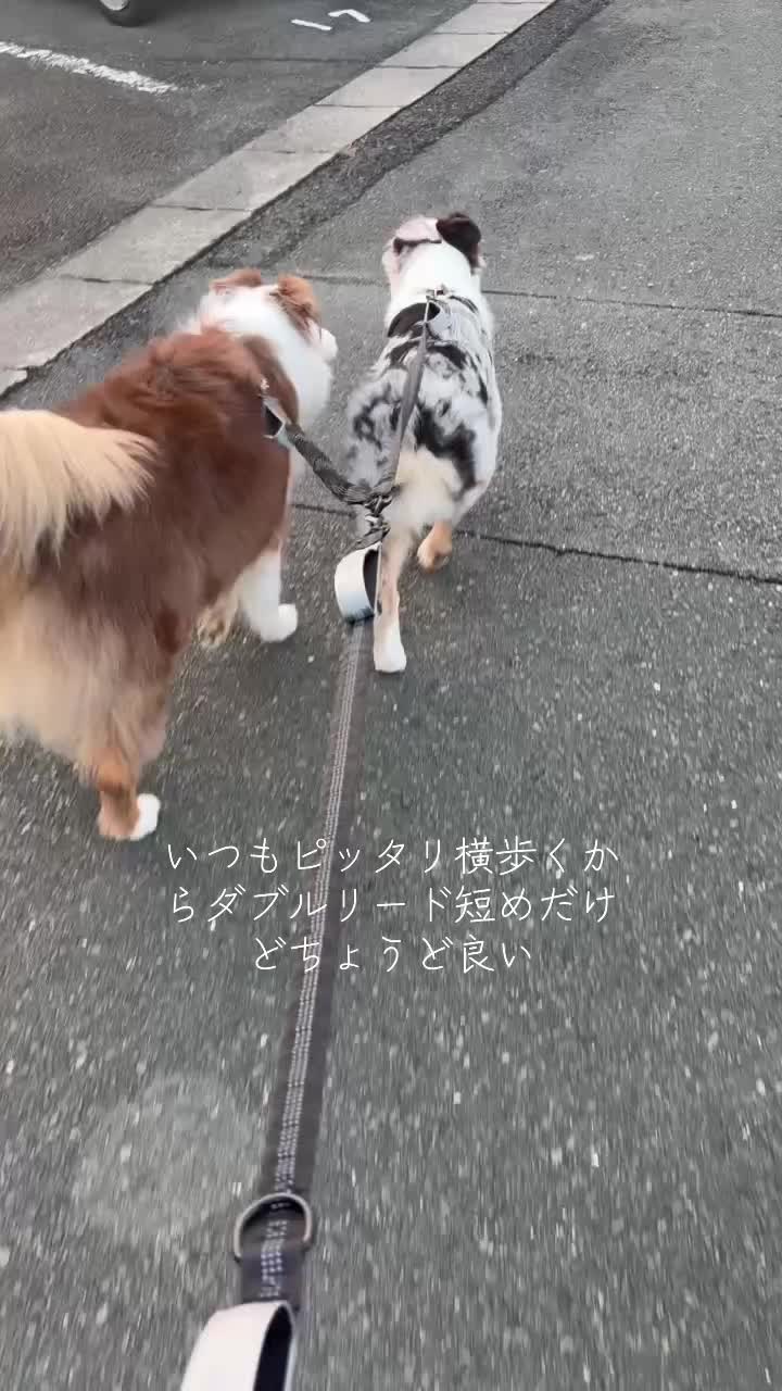@サン&タマ