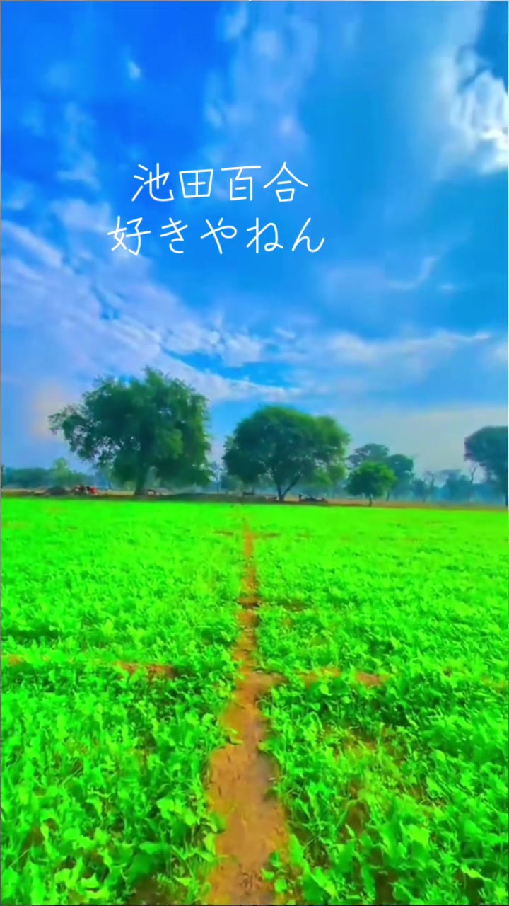 @Honey 🐒さるとび