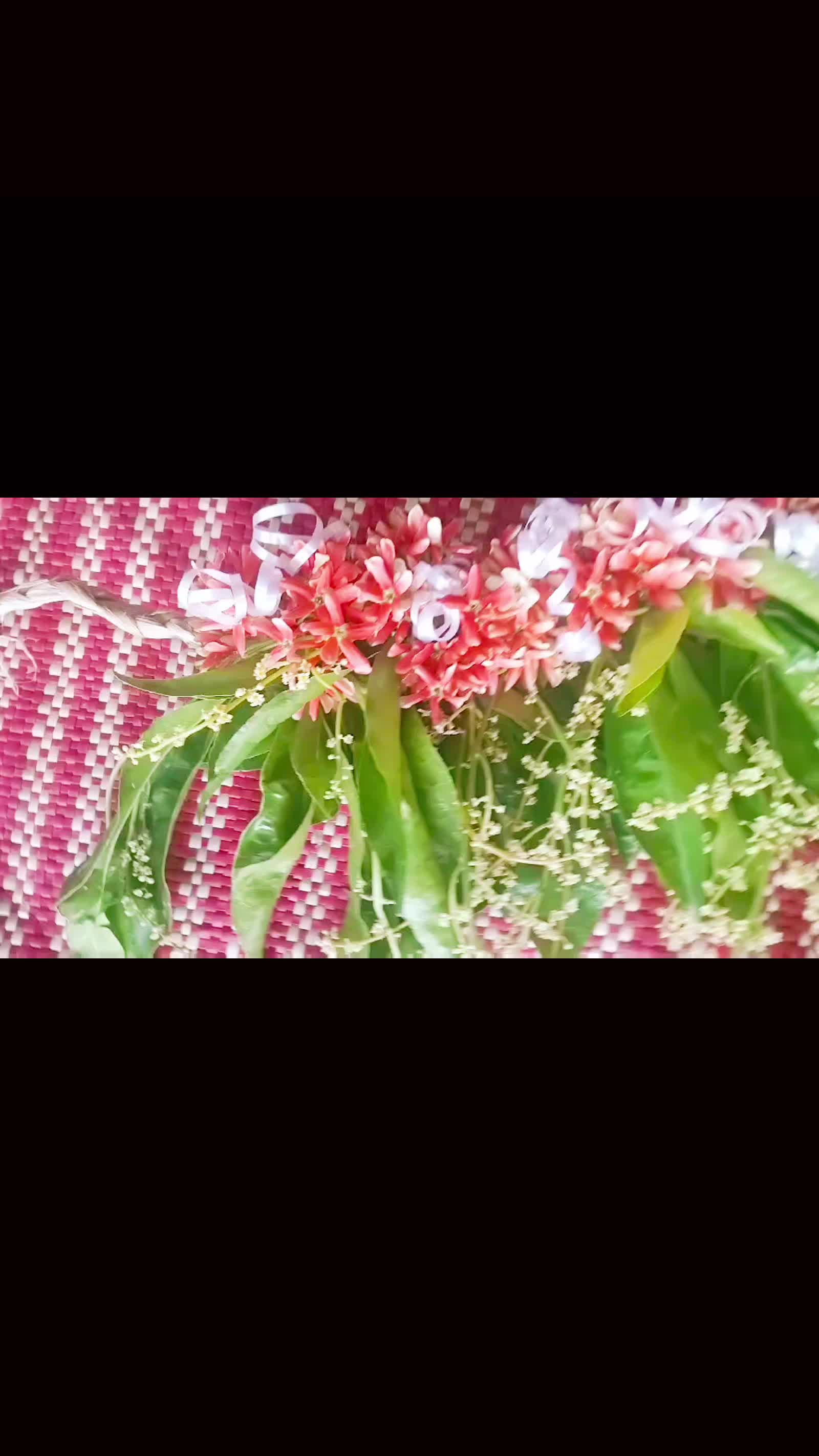 @🌺LEI🌺