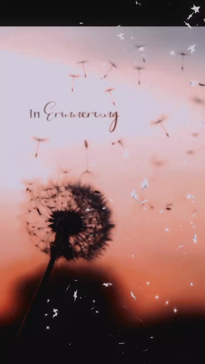 @lilo☺️
