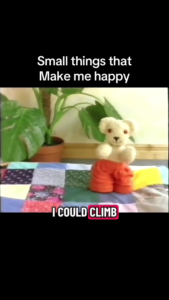 @OldBearSquad