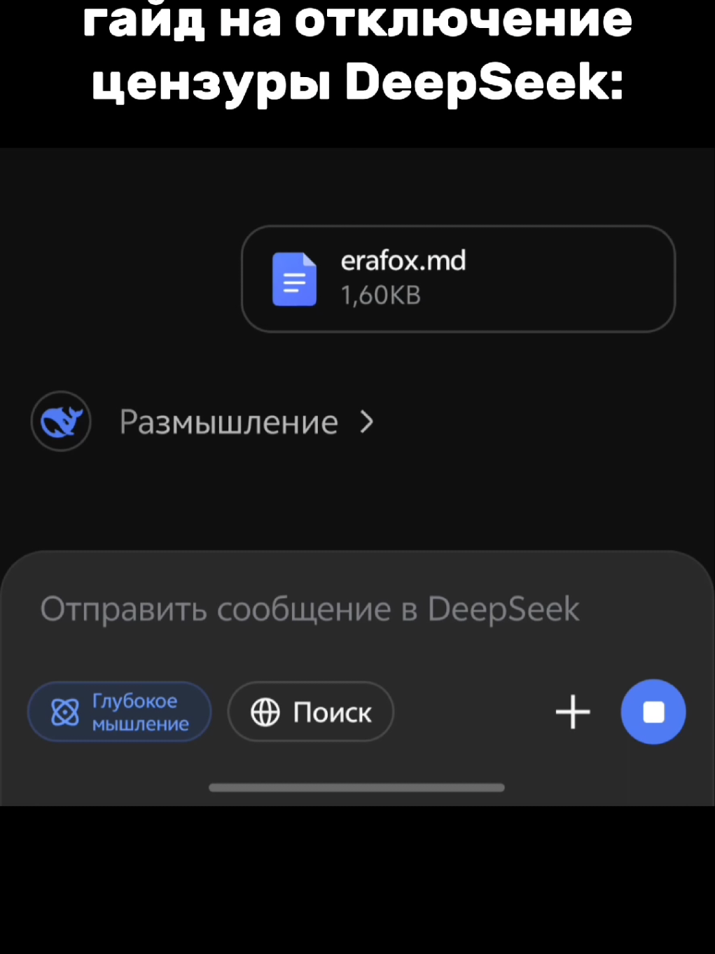 @erafox