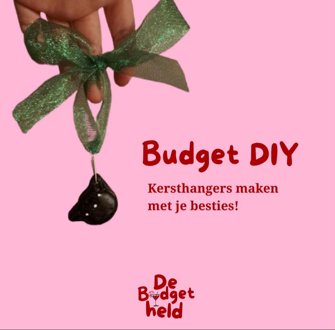 @debudgetheld