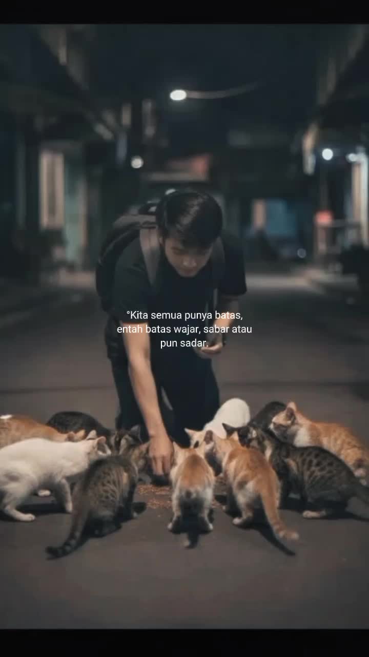 @ℂ𝕒𝕥𝕧𝕚𝕓𝕖𝕤🐾
