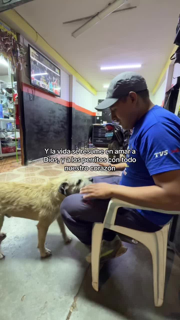 @Cabezotas 🐶